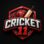 cricket11 app
